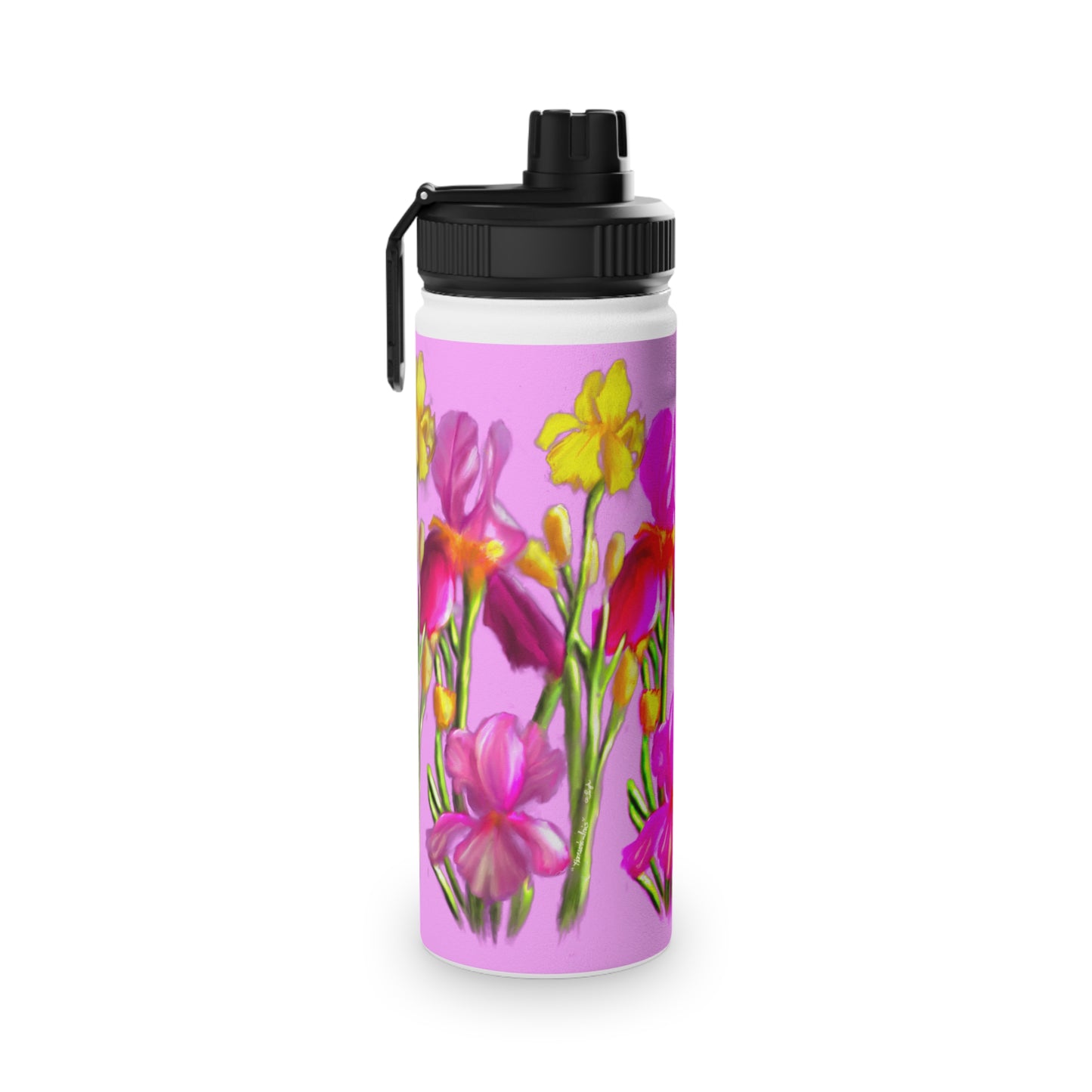 Hanson's Iris set of Stainless Steel Water Bottles, Sports Lid