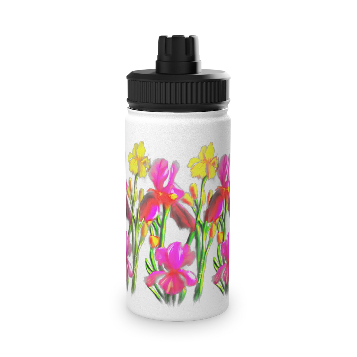 Hanson's Iris set of Stainless Steel Water Bottles, Sports Lid