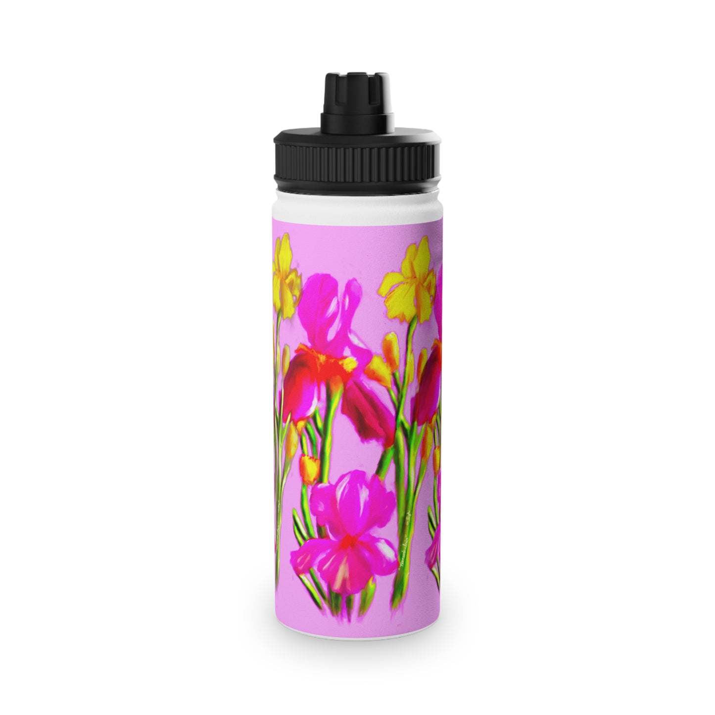 Hanson's Iris set of Stainless Steel Water Bottles, Sports Lid