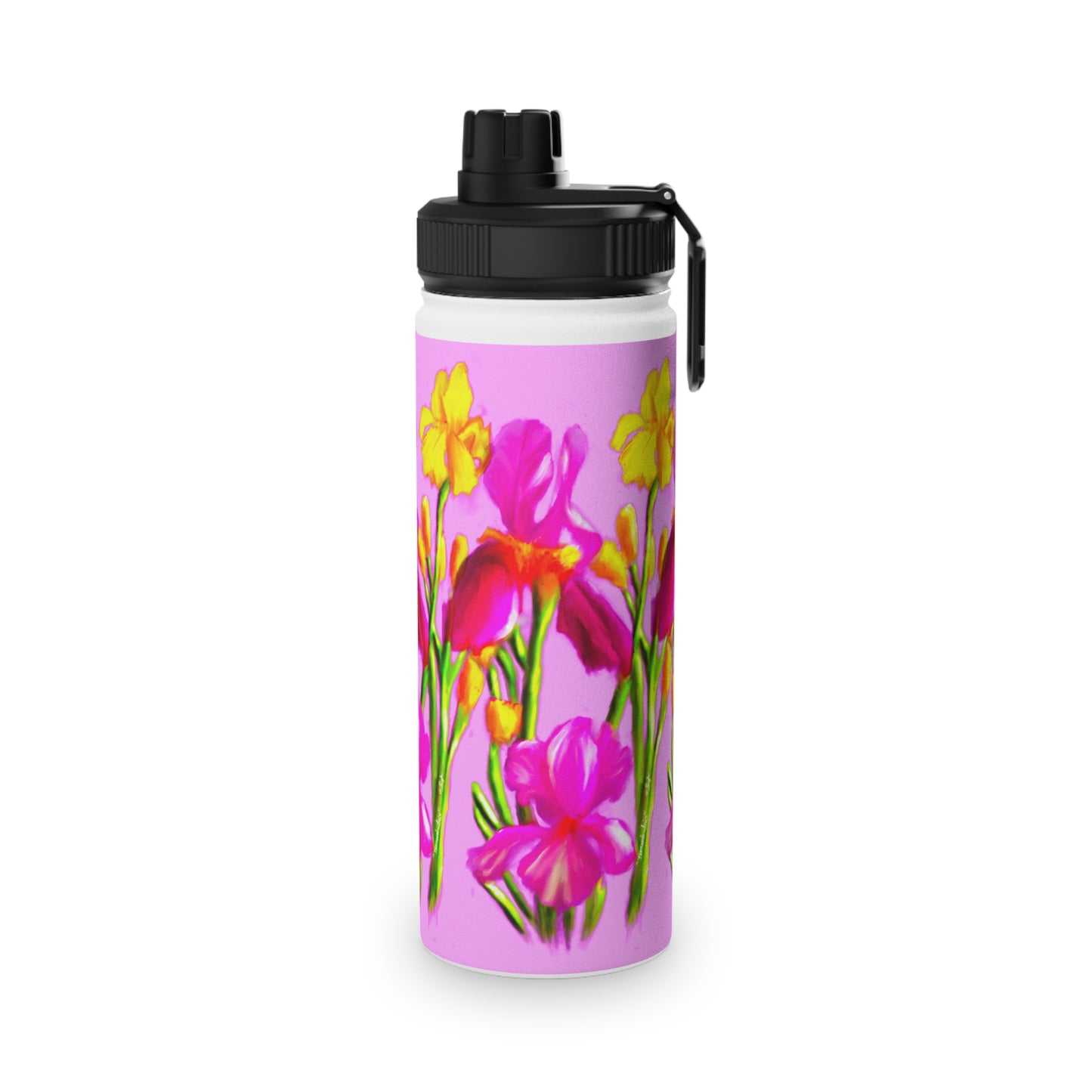 Hanson's Iris set of Stainless Steel Water Bottles, Sports Lid