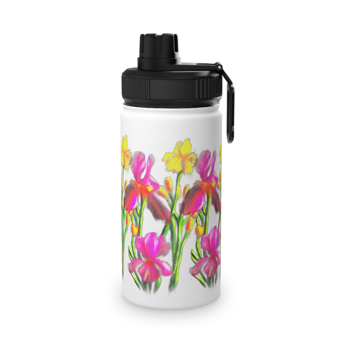 Hanson's Iris set of Stainless Steel Water Bottles, Sports Lid